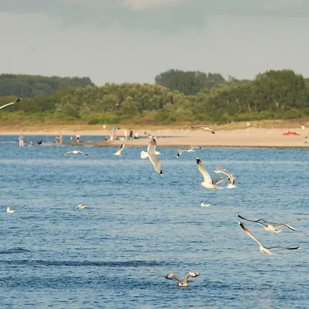Lägenhet Sonnendeck Moba-travel *